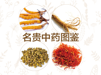 2018年9月7日 九月刊——《名贵中药图鉴》
