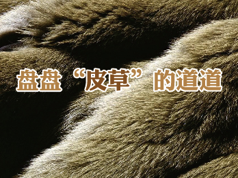 2019年3月1日 三月刊——《盘盘“皮草”的道道》