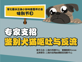 2025年2月7日&nbsp;《专家支招鉴别犬猫呕吐与反流》