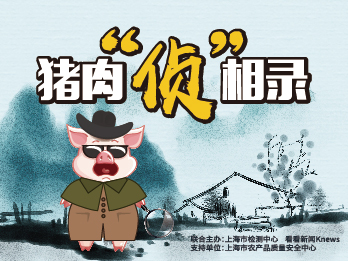 2025年5月9日&nbsp;《土味研究所之猪肉“侦”相录》